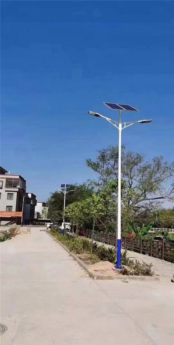 德州太陽能香蕉影视成人网站